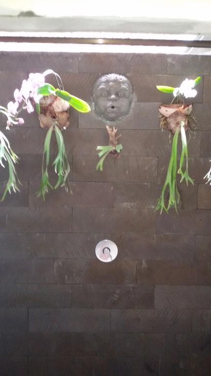 Vinaya Homestay Ubud  Ngoại thất bức ảnh